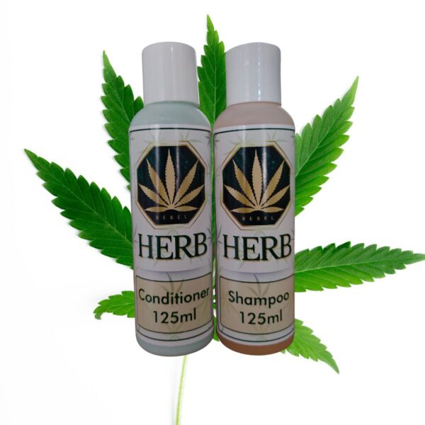 CBD Shampoo The Little Green Store